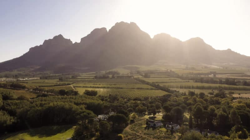 wine farm wedding venue