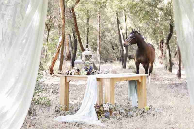 African Hills Function Venue